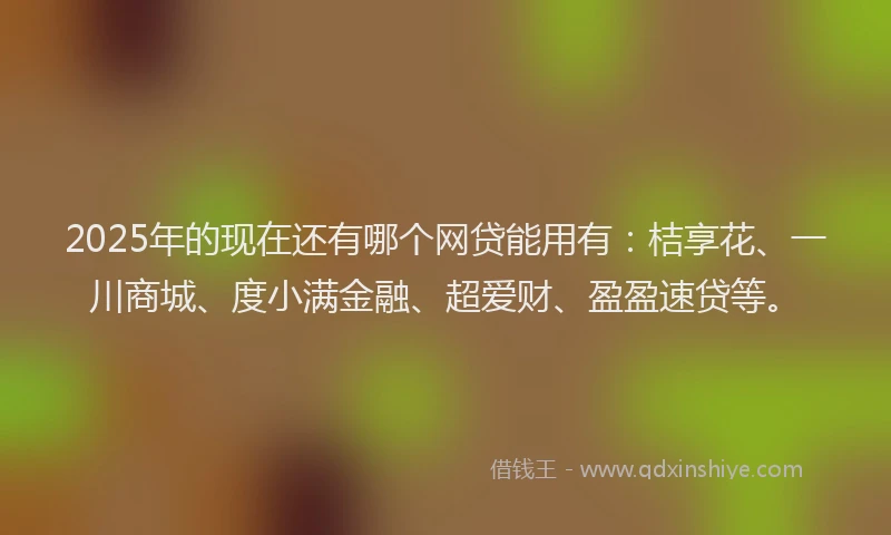 2025年的现在还有哪个网贷能用有：桔享花、一川商城、度小满金融、超爱财、盈盈速贷等。