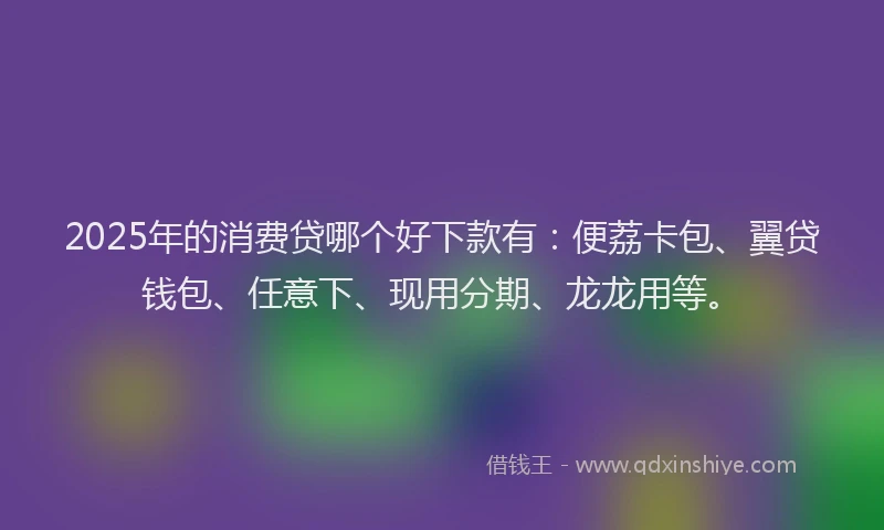 2025年的消费贷哪个好下款有：便荔卡包、翼贷钱包、任意下、现用分期、龙龙用等。