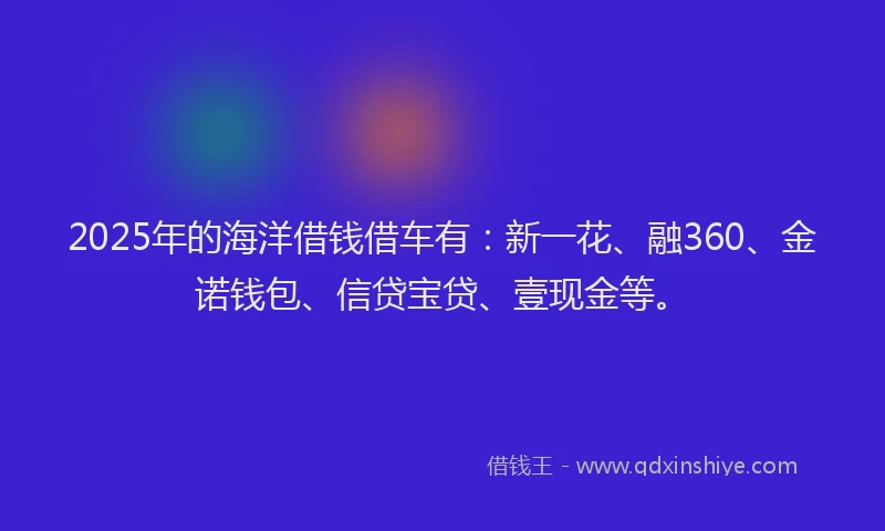 2025年的海洋借钱借车有：新一花、融360、金诺钱包、信贷宝贷、壹现金等。