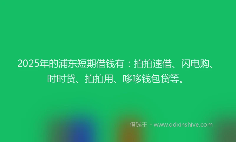 2025年的浦东短期借钱有：拍拍速借、闪电购、时时贷、拍拍用、哆哆钱包贷等。