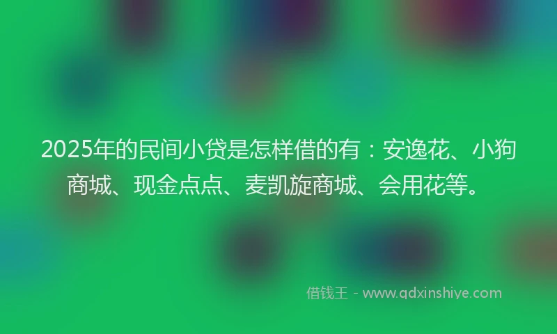2025年的民间小贷是怎样借的有：安逸花、小狗商城、现金点点、麦凯旋商城、会用花等。
