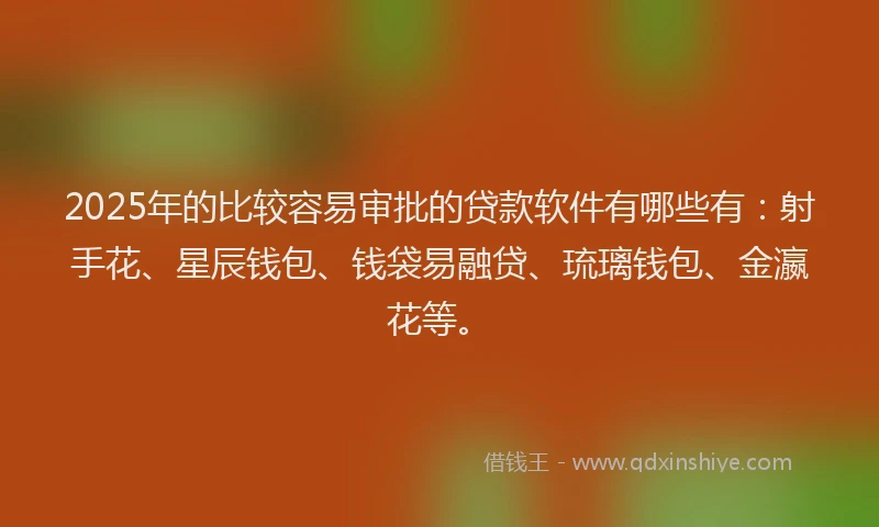 2025年的比较容易审批的贷款软件有哪些有：射手花、星辰钱包、钱袋易融贷、琉璃钱包、金瀛花等。
