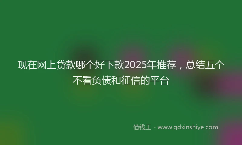现在网上贷款哪个好下款2025年推荐，总结五个不看负债和征信的平台