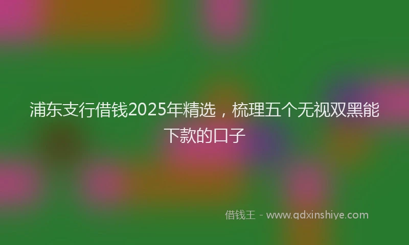 浦东支行借钱2025年精选，梳理五个无视双黑能下款的口子