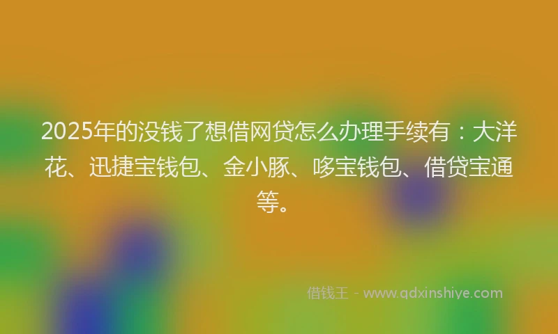 2025年的没钱了想借网贷怎么办理手续有：大洋花、迅捷宝钱包、金小豚、哆宝钱包、借贷宝通等。
