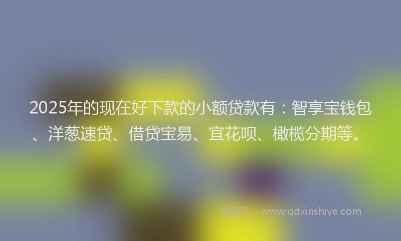 2025年的现在好下款的小额贷款有：智享宝钱包、洋葱速贷、借贷宝易、宜花呗、橄榄分期等。
