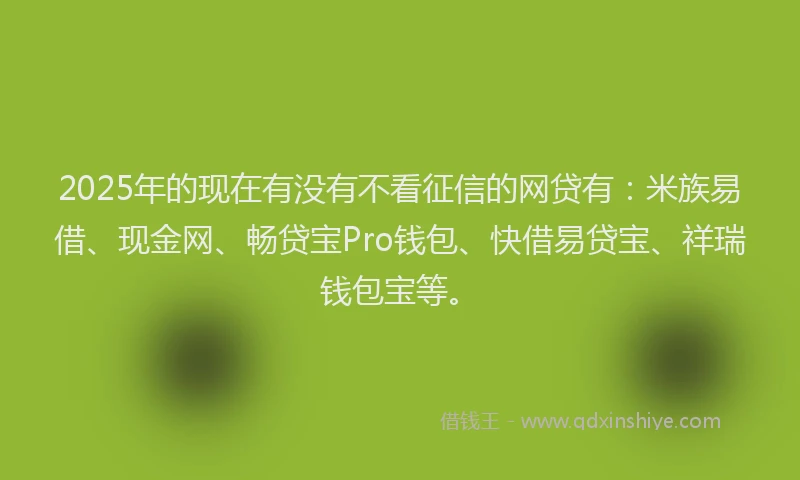 2025年的现在有没有不看征信的网贷有：米族易借、现金网、畅贷宝Pro钱包、快借易贷宝、祥瑞钱包宝等。