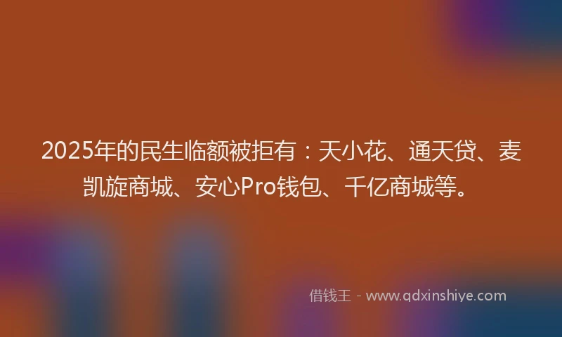 2025年的民生临额被拒有：天小花、通天贷、麦凯旋商城、安心Pro钱包、千亿商城等。