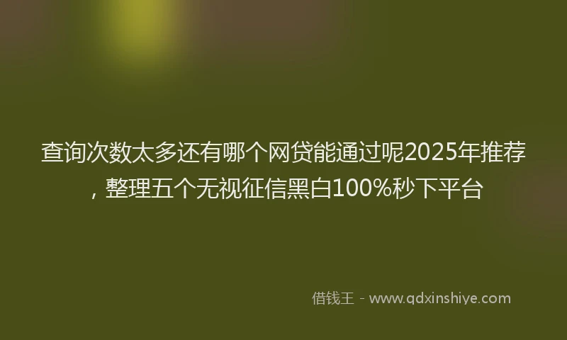 查询次数太多还有哪个网贷能通过呢2025年推荐，整理五个无视征信黑白100%秒下平台