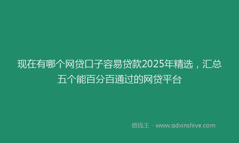 现在有哪个网贷口子容易贷款2025年精选，汇总五个能百分百通过的网贷平台