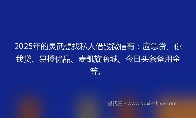 2025年的灵武想找私人借钱微信有：应急贷、你我贷、易橙优品、麦凯旋商城、今日头条备用金等。