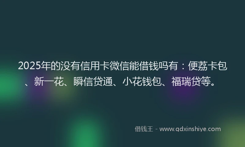 2025年的没有信用卡微信能借钱吗有：便荔卡包、新一花、瞬信贷通、小花钱包、福瑞贷等。