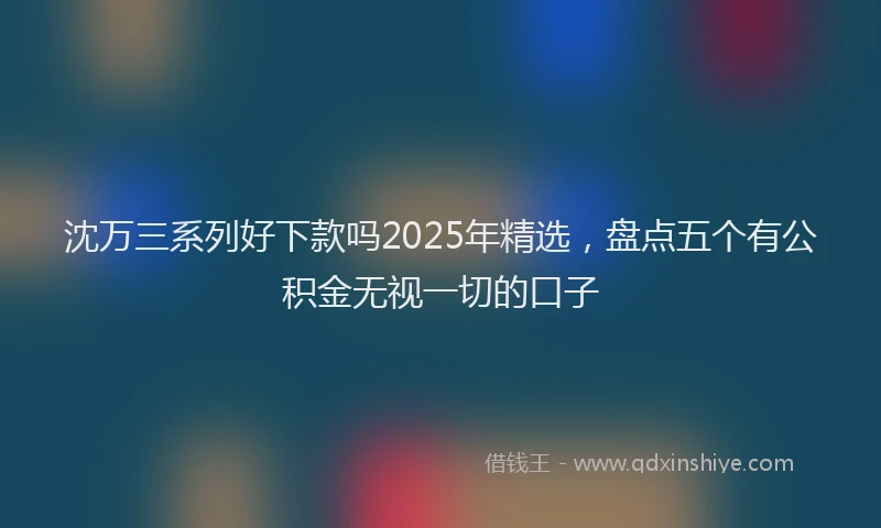 沈万三系列好下款吗2025年精选，盘点五个有公积金无视一切的口子