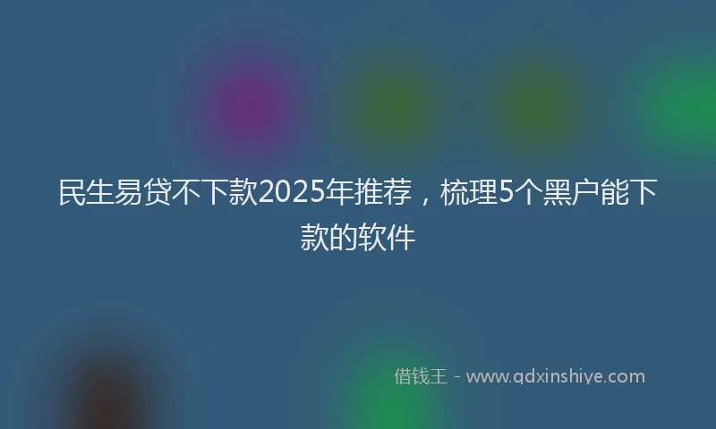 民生易贷不下款2025年推荐，梳理5个黑户能下款的软件