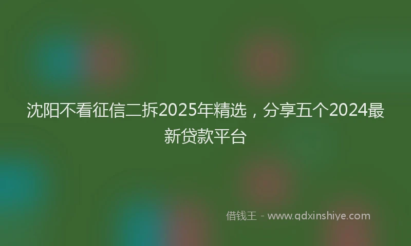 沈阳不看征信二拆2025年精选，分享五个2024最新贷款平台