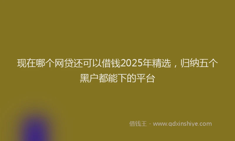 现在哪个网贷还可以借钱2025年精选，归纳五个黑户都能下的平台