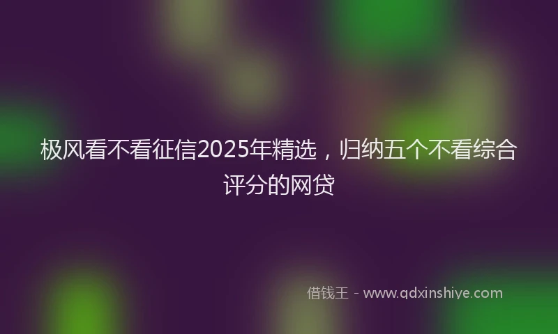 极风看不看征信2025年精选，归纳五个不看综合评分的网贷