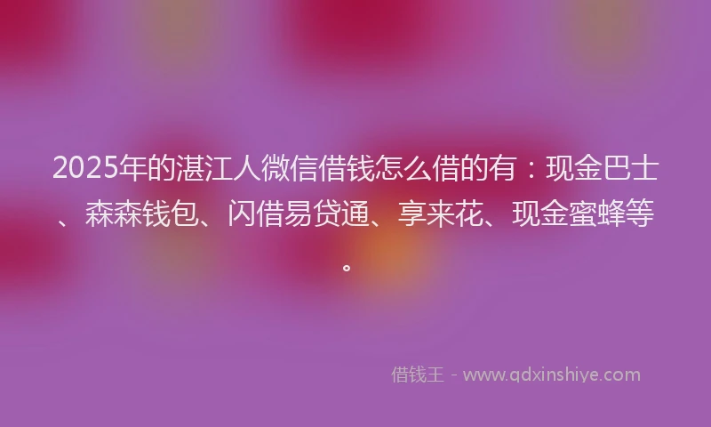 2025年的湛江人微信借钱怎么借的有：现金巴士、森森钱包、闪借易贷通、享来花、现金蜜蜂等。