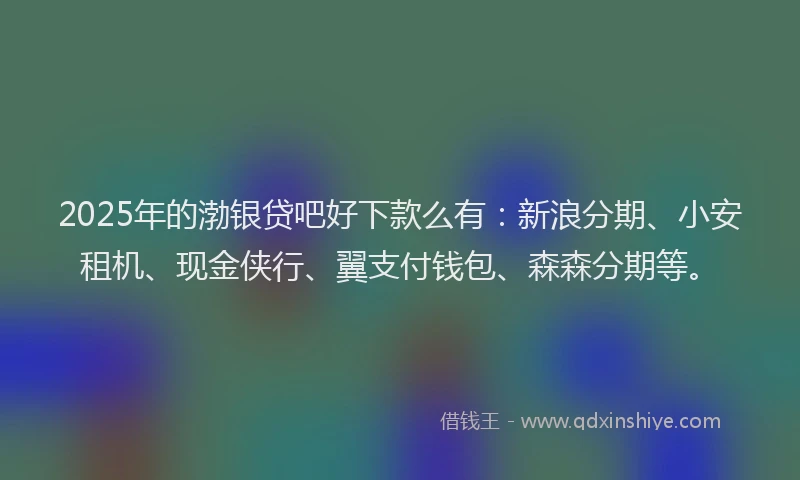 2025年的渤银贷吧好下款么有：新浪分期、小安租机、现金侠行、翼支付钱包、森森分期等。