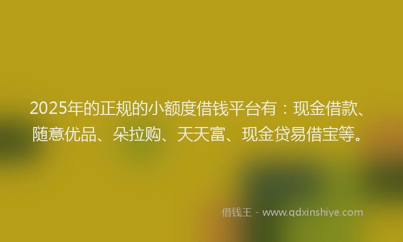 2025年的正规的小额度借钱平台有：现金借款、随意优品、朵拉购、天天富、现金贷易借宝等。