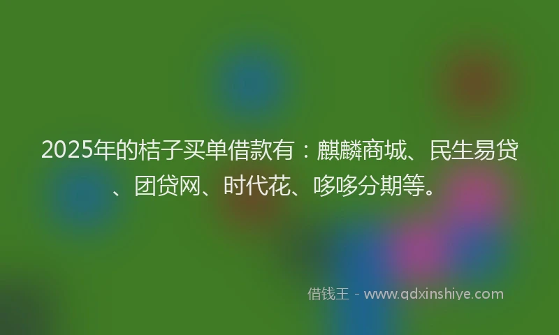 2025年的桔子买单借款有：麒麟商城、民生易贷、团贷网、时代花、哆哆分期等。
