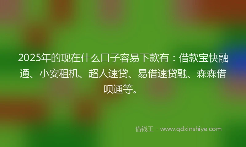 2025年的现在什么口子容易下款有：借款宝快融通、小安租机、超人速贷、易借速贷融、森森借呗通等。