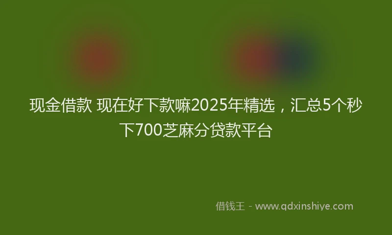 现金借款 现在好下款嘛2025年精选，汇总5个秒下700芝麻分贷款平台