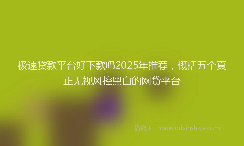极速贷款平台好下款吗2025年推荐，概括五个真正无视风控黑白的网贷平台