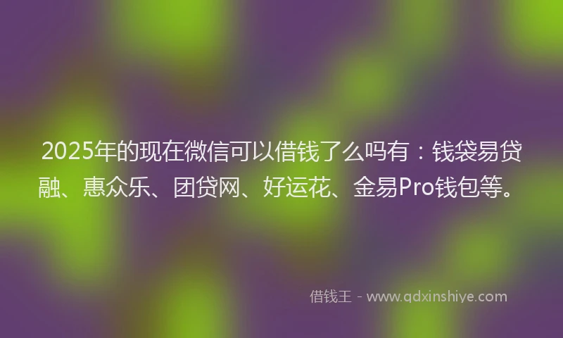 2025年的现在微信可以借钱了么吗有：钱袋易贷融、惠众乐、团贷网、好运花、金易Pro钱包等。