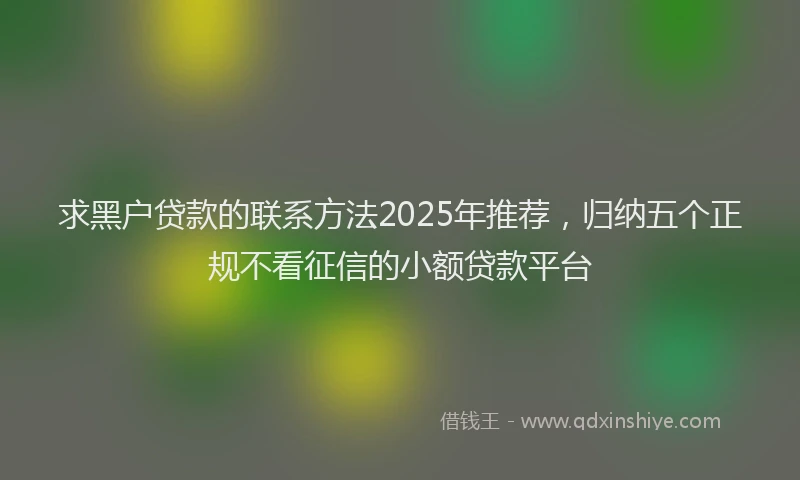 求黑户贷款的联系方法2025年推荐，归纳五个正规不看征信的小额贷款平台