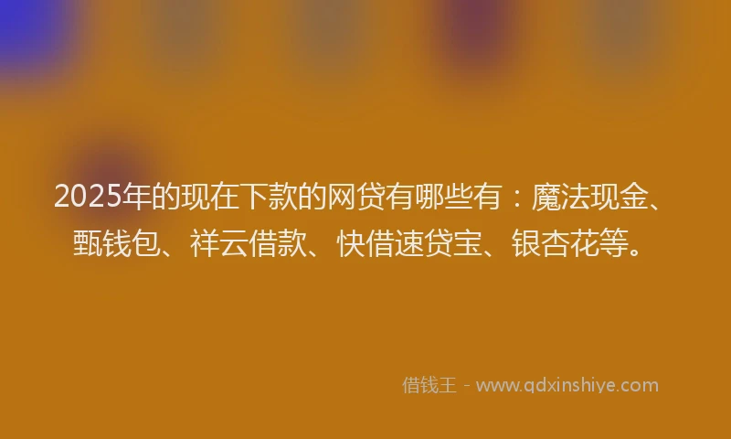 2025年的现在下款的网贷有哪些有：魔法现金、甄钱包、祥云借款、快借速贷宝、银杏花等。