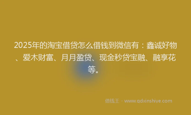 2025年的淘宝借贷怎么借钱到微信有：鑫诚好物、爱木财富、月月盈贷、现金秒贷宝融、融享花等。