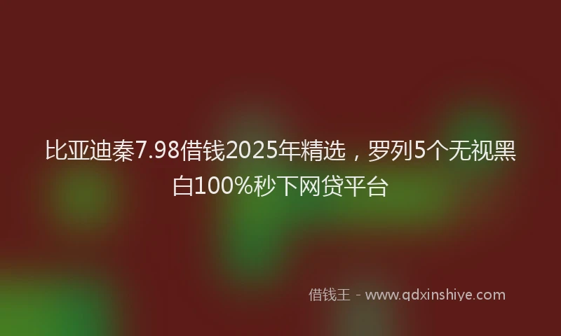 比亚迪秦7.98借钱2025年精选，罗列5个无视黑白100%秒下网贷平台