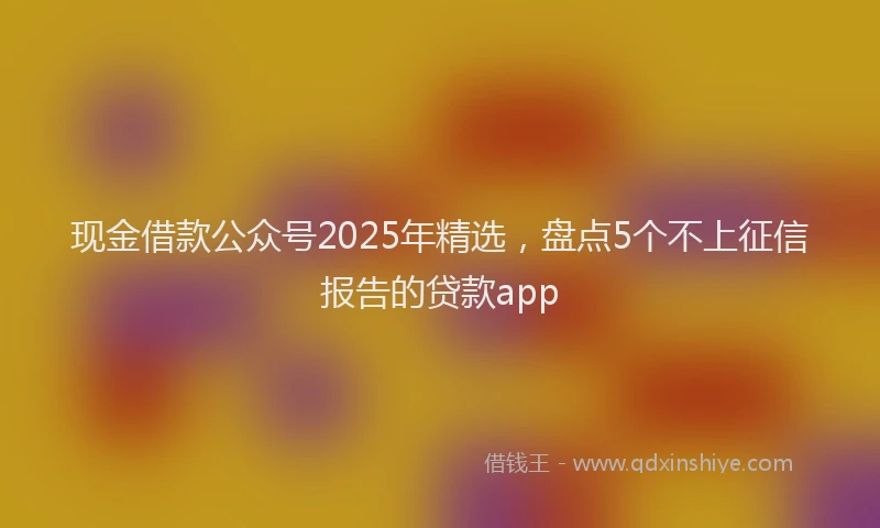 现金借款公众号2025年精选，盘点5个不上征信报告的贷款app