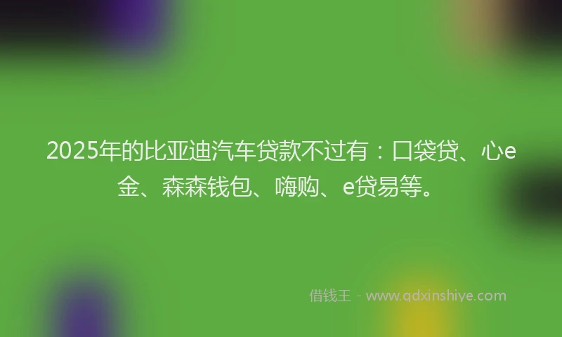 2025年的比亚迪汽车贷款不过有：口袋贷、心e金、森森钱包、嗨购、e贷易等。