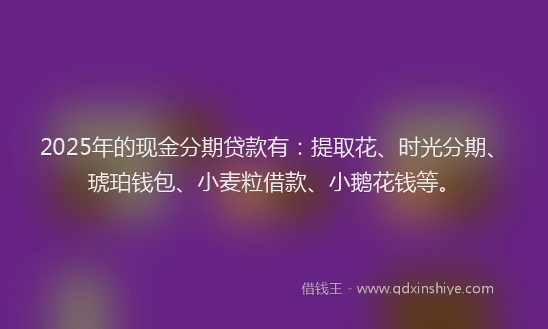 2025年的现金分期贷款有：提取花、时光分期、琥珀钱包、小麦粒借款、小鹅花钱等。