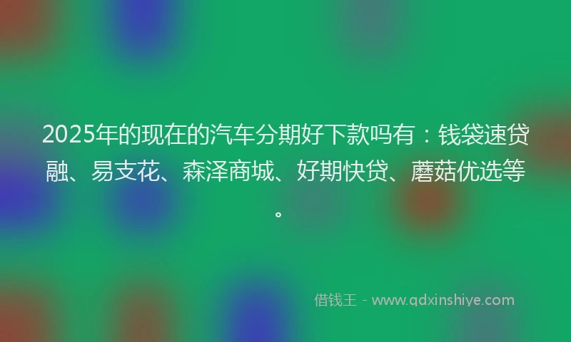 2025年的现在的汽车分期好下款吗有：钱袋速贷融、易支花、森泽商城、好期快贷、蘑菇优选等。