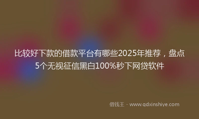 比较好下款的借款平台有哪些2025年推荐，盘点5个无视征信黑白100%秒下网贷软件