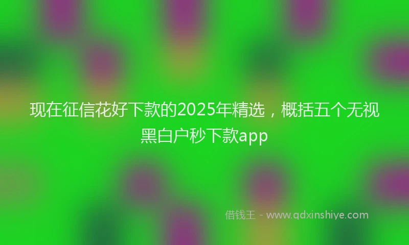 现在征信花好下款的2025年精选，概括五个无视黑白户秒下款app
