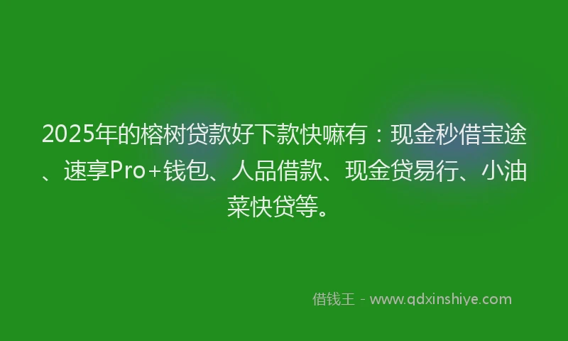 2025年的榕树贷款好下款快嘛有：现金秒借宝途、速享Pro+钱包、人品借款、现金贷易行、小油菜快贷等。