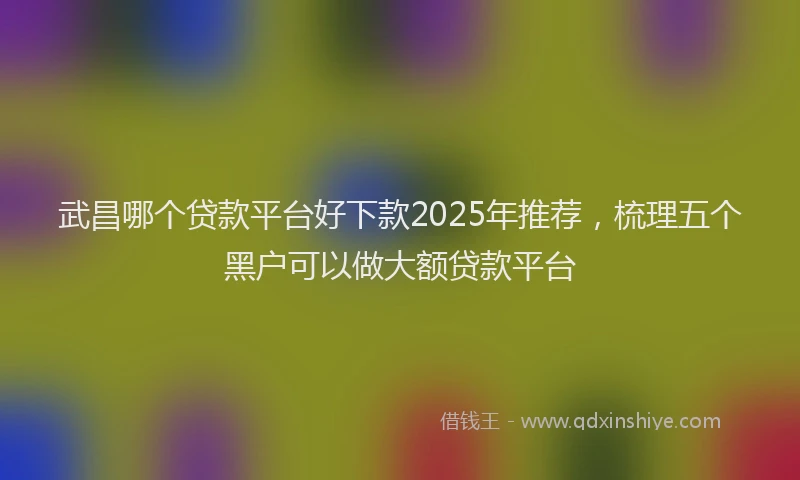 武昌哪个贷款平台好下款2025年推荐，梳理五个黑户可以做大额贷款平台