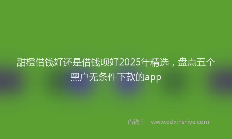 甜橙借钱好还是借钱呗好2025年精选，盘点五个黑户无条件下款的app