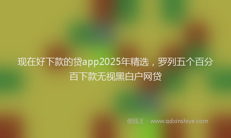 现在好下款的贷app2025年精选，罗列五个百分百下款无视黑白户网贷