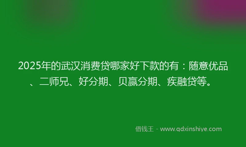2025年的武汉消费贷哪家好下款的有：随意优品、二师兄、好分期、贝赢分期、疾融贷等。