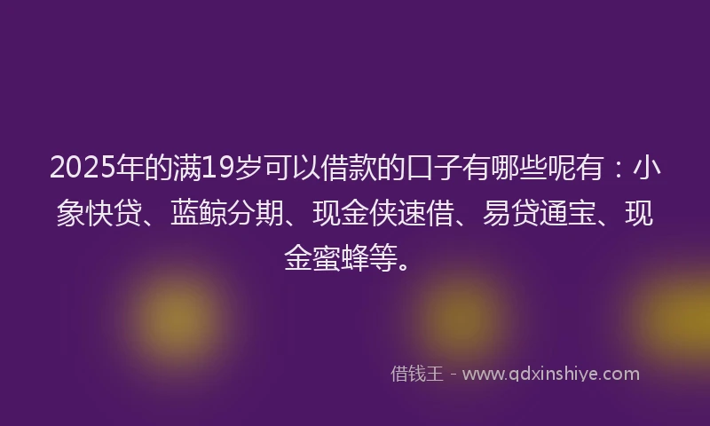 2025年的满19岁可以借款的口子有哪些呢有：小象快贷、蓝鲸分期、现金侠速借、易贷通宝、现金蜜蜂等。