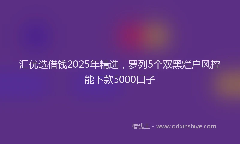 汇优选借钱2025年精选，罗列5个双黑烂户风控能下款5000口子