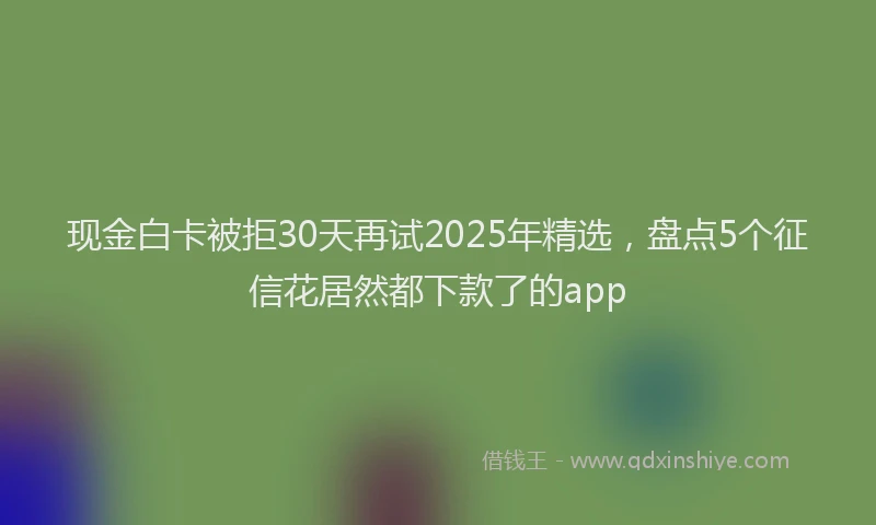现金白卡被拒30天再试2025年精选，盘点5个征信花居然都下款了的app