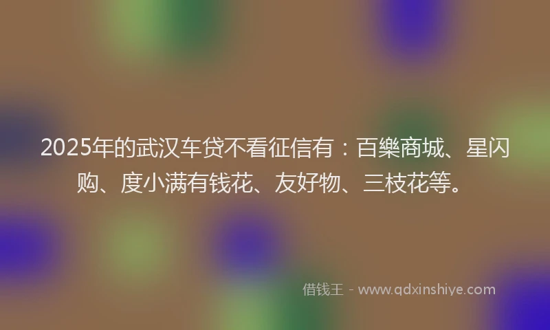 2025年的武汉车贷不看征信有：百樂商城、星闪购、度小满有钱花、友好物、三枝花等。
