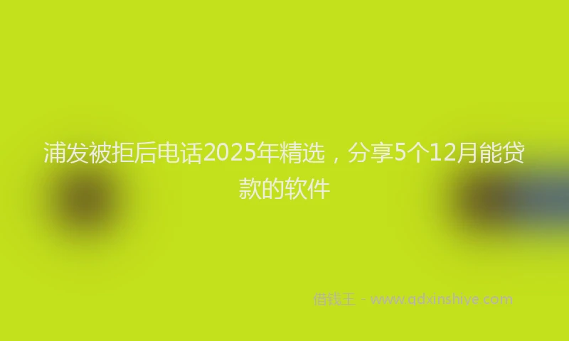 浦发被拒后电话2025年精选，分享5个12月能贷款的软件