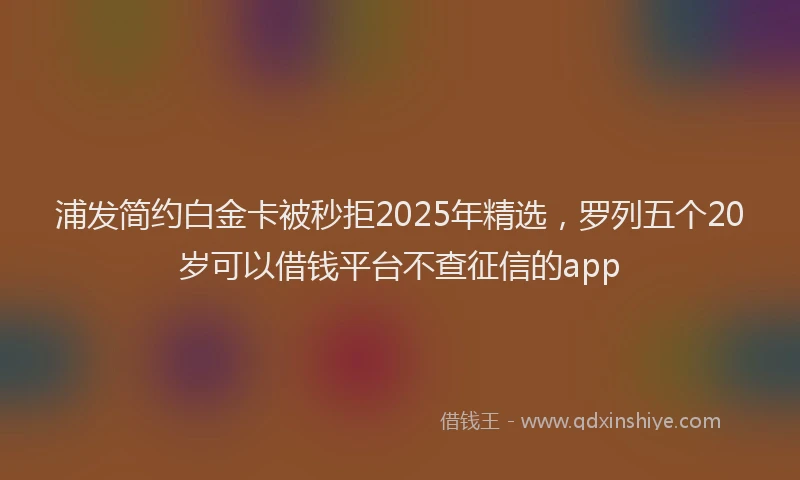 浦发简约白金卡被秒拒2025年精选，罗列五个20岁可以借钱平台不查征信的app